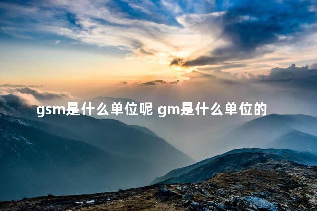 gsm是什么单位呢 gm是什么单位的简称